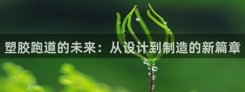 红足1一世 2站：塑胶跑道的未来：从设计到制造的新篇章