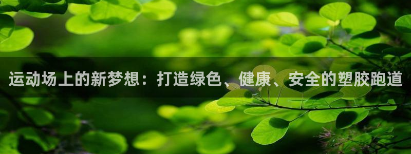 红足网足球直播：运动场上的新梦想：打造绿色、健康、安全的塑胶跑道