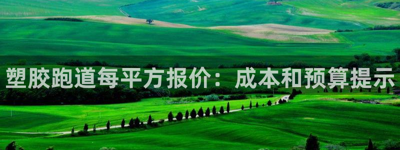 红世一足球比分：塑胶跑道每平方报价：成本和预算提示