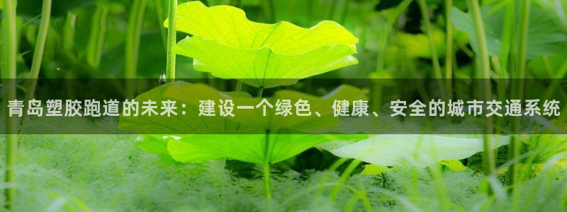 红足1世手机版下载：青岛塑胶跑道的未来：建设一个绿色、健康、安全的城市交通系统
