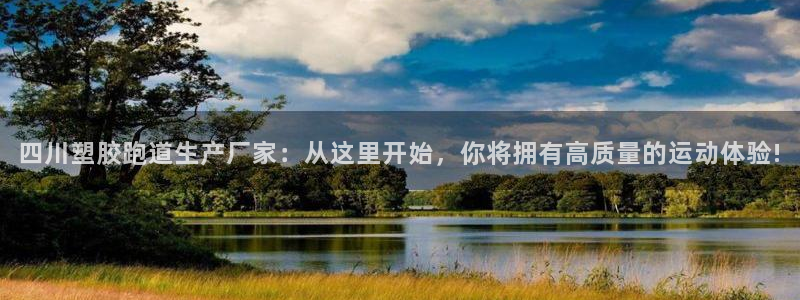 红足一1世66814新宝：四川塑胶跑道生产厂家：从这里开始，你将拥有高质量的运动体验!