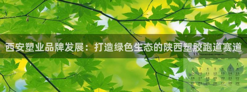 红足一1世666814足球：西安塑业品牌发展：打造绿色生态的陕西塑胶跑道赛道