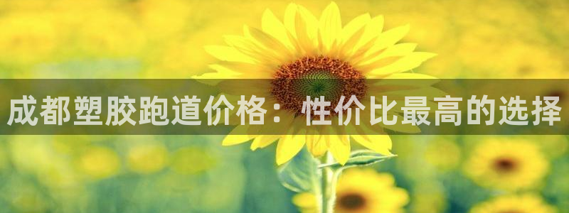 红足1世手足球比分：成都塑胶跑道价格：性价比最高的选择