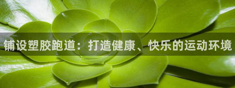红足1世1站：铺设塑胶跑道：打造健康、快乐的运动环境