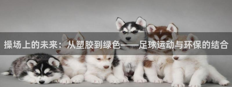 红足1一世 2站：操场上的未来：从塑胶到绿色——足球运动与环保的结合