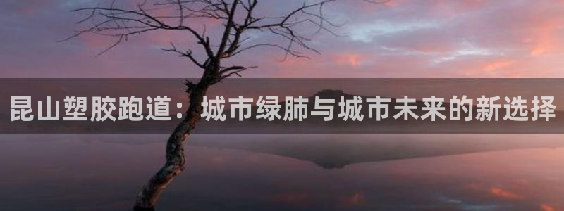77814红足1世：昆山塑胶跑道：城市绿肺与城市未来的新选择