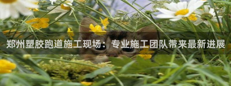 红足一1世：郑州塑胶跑道施工现场：专业施工团队带来最新进展