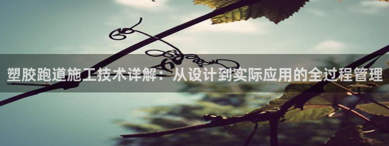 红足i世足球手机网：塑胶跑道施工技术详解：从设计到实际应用的全过程管理
