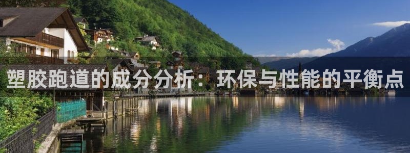 红足1一世 2站：塑胶跑道的成分分析：环保与性能的平衡点