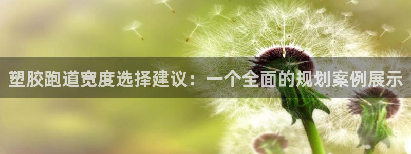 红足1一世：塑胶跑道宽度选择建议：一个全面的规划案例展示