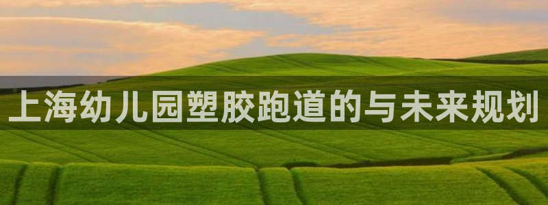 红足一：上海幼儿园塑胶跑道的与未来规划