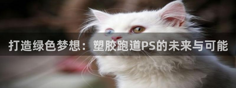 红足1世足球：打造绿色梦想：塑胶跑道PS的未来与可能
