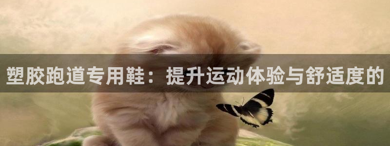 红足1世手机板：塑胶跑道专用鞋：提升运动体验与舒适度的