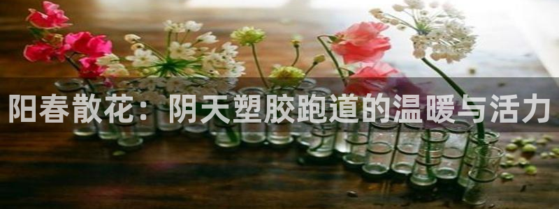 红足1一世开奖版：阳春散花：阴天塑胶跑道的温暖与活力