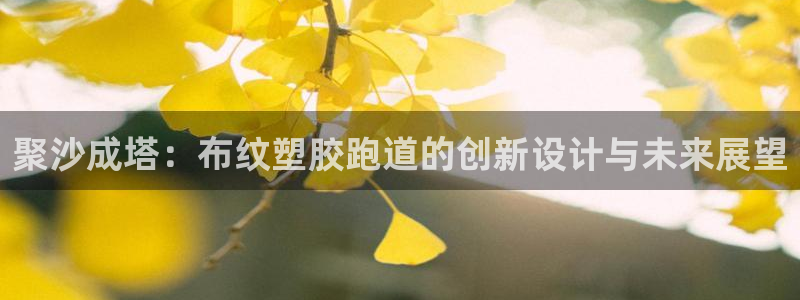 红足一1世666814最新结果：聚沙成塔：布纹塑胶跑道的创新设计与未来展望