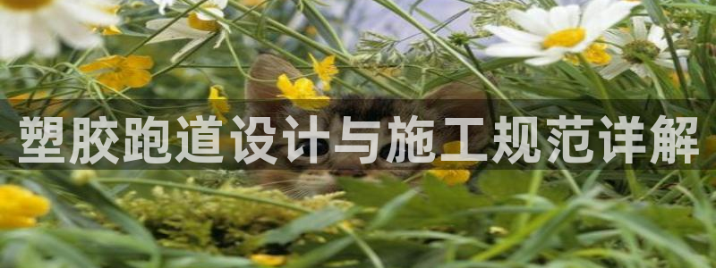 红足一1世皇冠登录：塑胶跑道设计与施工规范详解