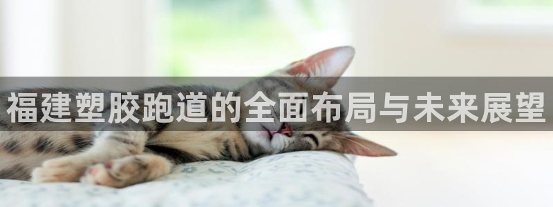 红足足球网：福建塑胶跑道的全面布局与未来展望