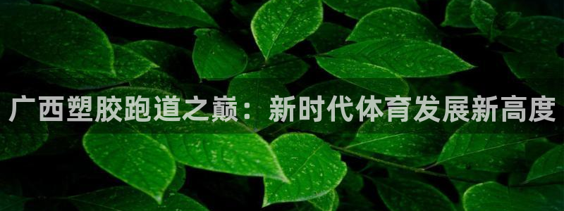 红足一1世即时比分：广西塑胶跑道之巅：新时代体育发展新高度