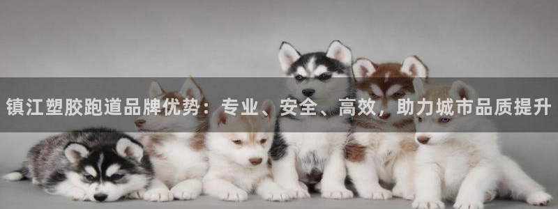 红足一1世官网足球推荐真人：镇江塑胶跑道品牌优势：专业、安全、高效，助力城市品质提升