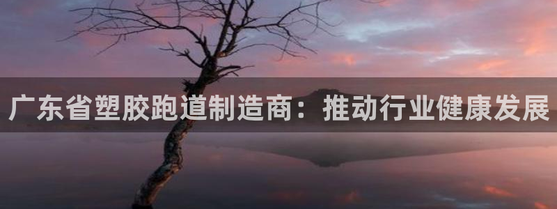 红足一1世官网：广东省塑胶跑道制造商：推动行业健康发展