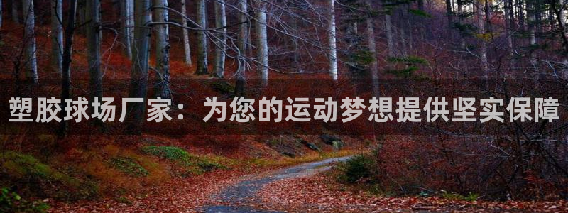 红足一1世手机版新皇冠：塑胶球场厂家：为您的运动梦想提供坚实保障