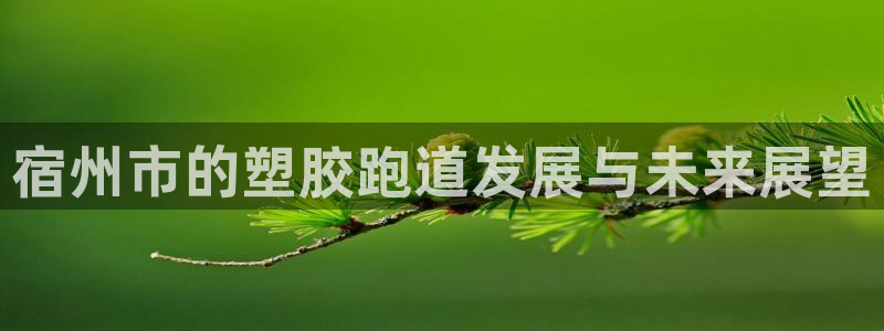 红足1世1站2站管理网：宿州市的塑胶跑道发展与未来展望