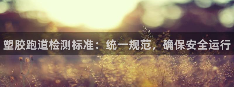 红足1世手机板：塑胶跑道检测标准：统一规范，确保安全运行