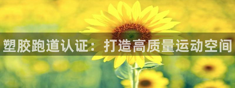 333814红足1世：塑胶跑道认证：打造高质量运动空间