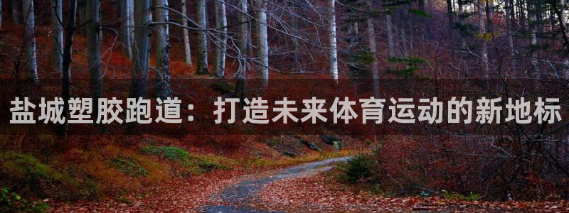 百度红足一1是干什么的：盐城塑胶跑道：打造未来体育运动的新地标