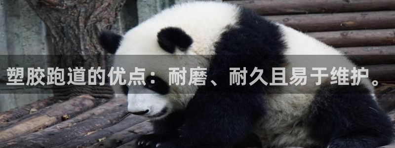 红足一1世即时比分：塑胶跑道的优点：耐磨、耐久且易于维护。