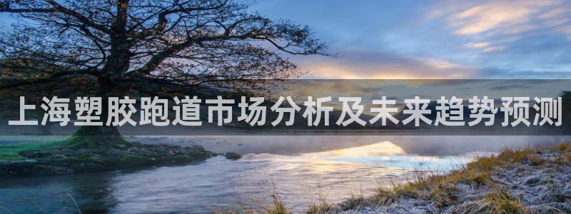 百度红足一1是什么样子的：上海塑胶跑道市场分析及未来趋势预测