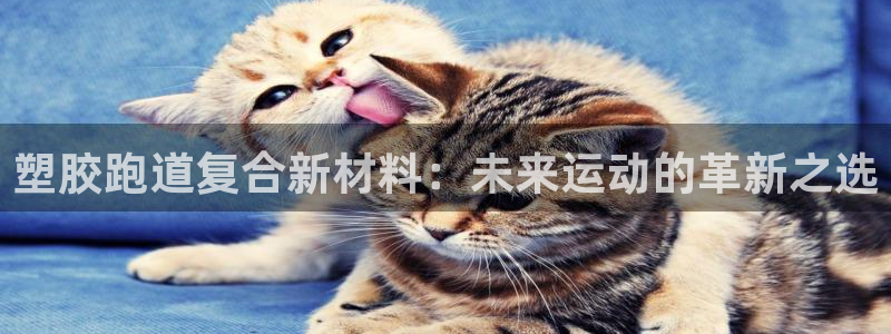 红世一足球比分：塑胶跑道复合新材料：未来运动的革新之选