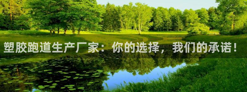 66814红足：塑胶跑道生产厂家：你的选择，我们的承诺！