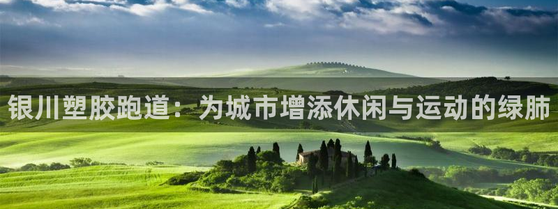 333814红·足一世比分：银川塑胶跑道：为城市增添休闲与运动的绿肺