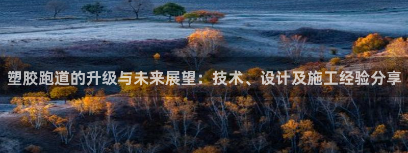 红足1世足球网址大全：塑胶跑道的升级与未来展望：技术、设计及施工经验分享