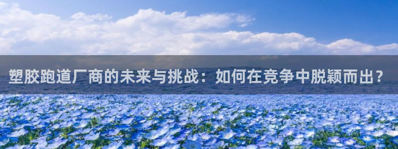 百度红足一1世：塑胶跑道厂商的未来与挑战：如何在竞争中脱颖而出？