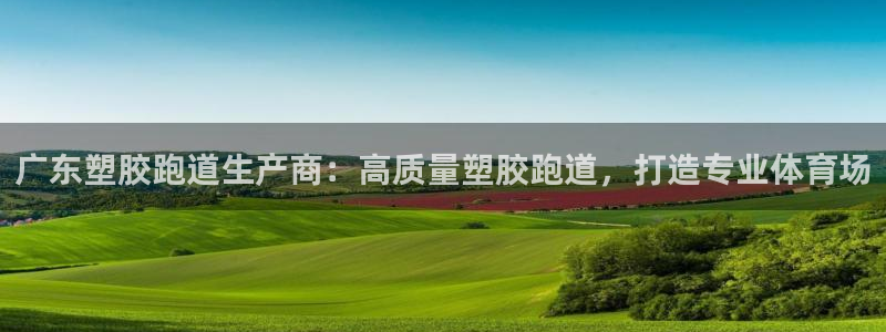 777814红·足一世比分篮球：广东塑胶跑道生产商：高质量塑胶跑道，打造专业体育场