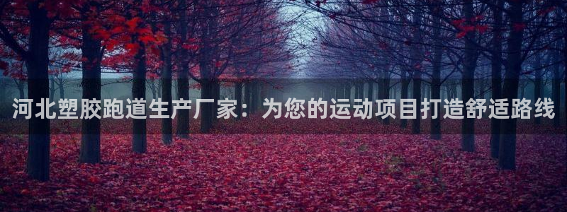 红足体育网：河北塑胶跑道生产厂家：为您的运动项目打造舒适路线