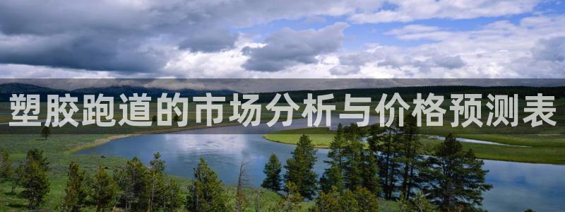 4633333开奖结果4176一点红：塑胶跑道的市场分析与价格预测表