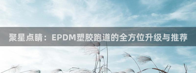 红足体育网：聚星点睛：EPDM塑胶跑道的全方位升级与推荐