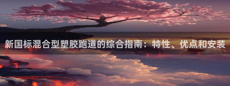 红足一1世皇冠：新国标混合型塑胶跑道的综合指南：特性、优点和安装