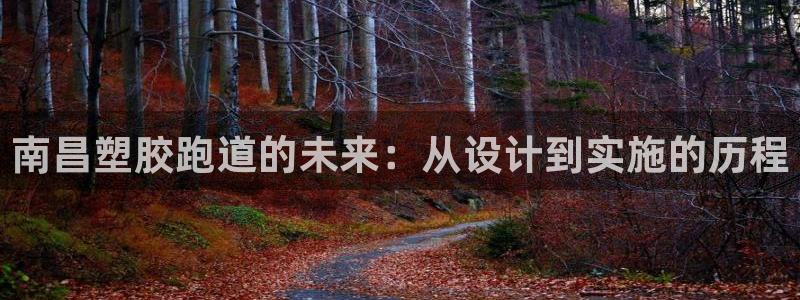 新2足球平台出租网站：南昌塑胶跑道的未来：从设计到实施的历程