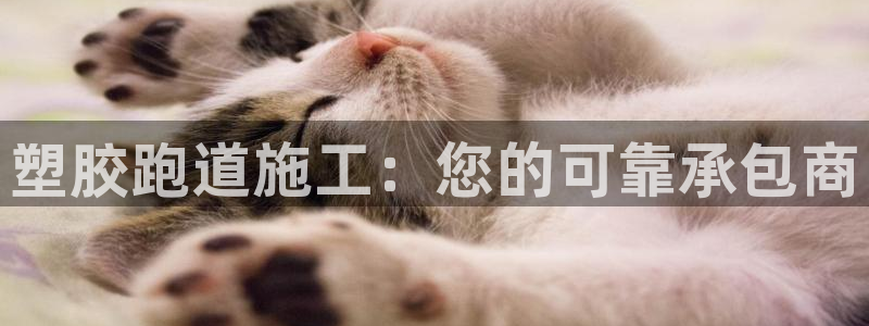 红足一1世66814新宝：塑胶跑道施工：您的可靠承包商