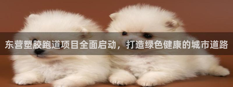 红足一球：东营塑胶跑道项目全面启动，打造绿色健康的城市道路