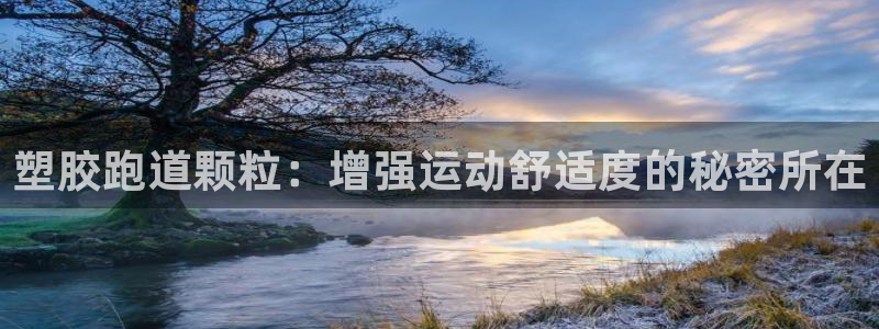 红足1世足球比分：塑胶跑道颗粒：增强运动舒适度的秘密所在