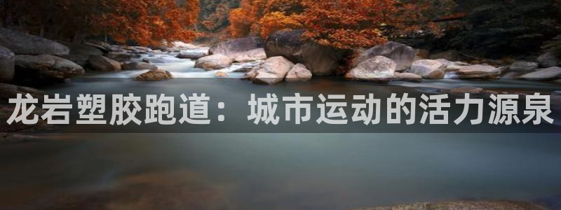 百度红足一1是为什么：龙岩塑胶跑道：城市运动的活力源泉