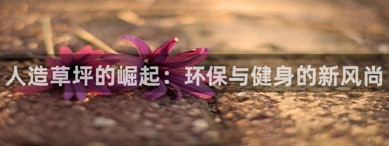 红足1世手足球比分：人造草坪的崛起：环保与健身的新风尚