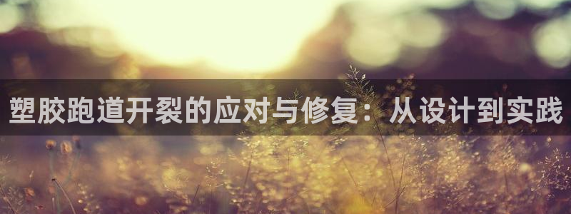 红足一1世即时比分：塑胶跑道开裂的应对与修复：从设计到实践