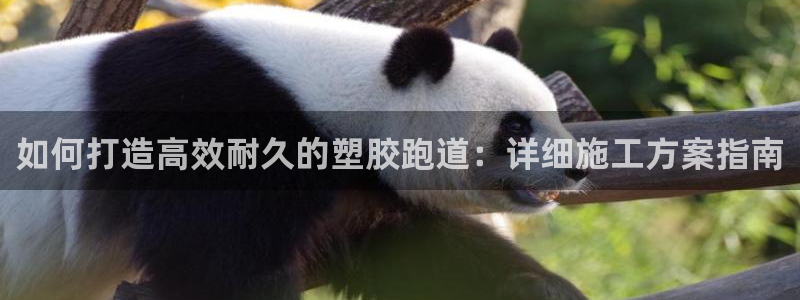 红足一1世666814最新结果：如何打造高效耐久的塑胶跑道：详细施工方案指南