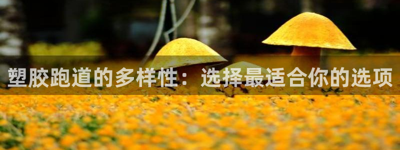红足一1世77814：塑胶跑道的多样性：选择最适合你的选项
